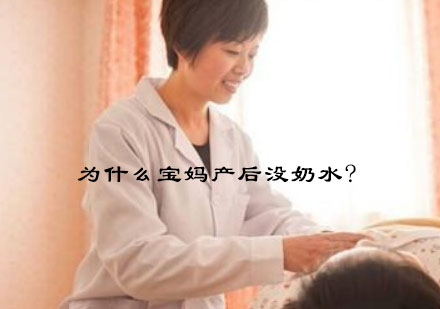 专业催乳师培训课程深度解析