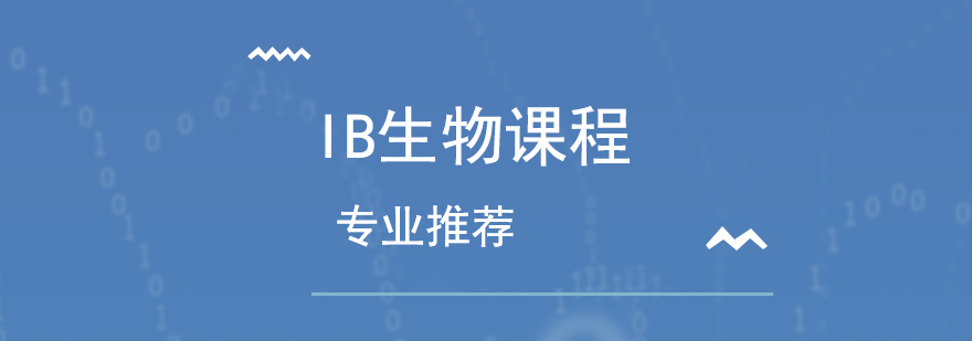 国际课程选择指导