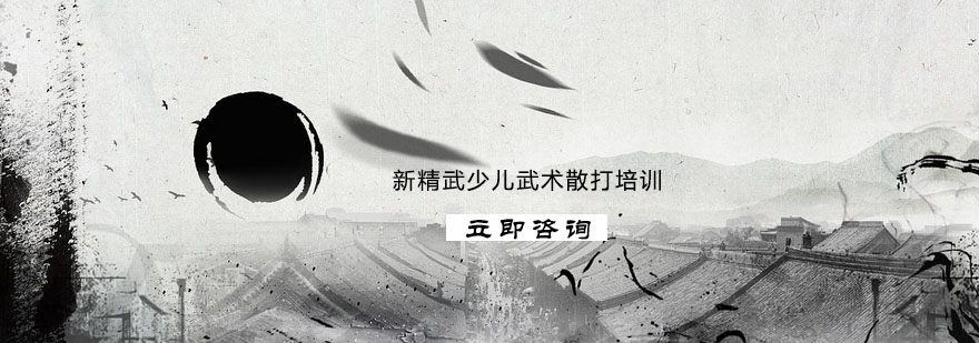 新精武武术教学场景