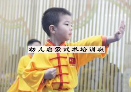 宁波幼儿启蒙武术培训班