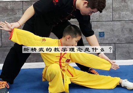 新精武教育体系深度解析