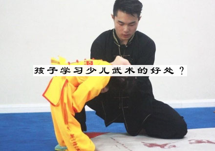 青少年武术训练课程特色解析