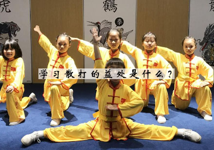 实战散打训练课程全方位解析