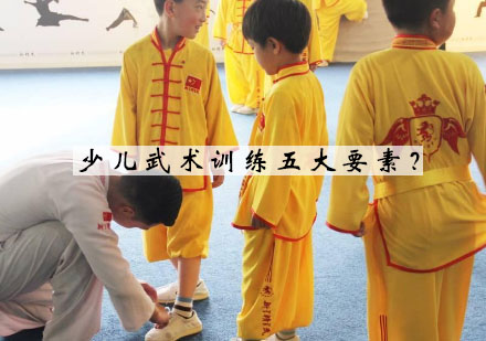 青少年武术专项培养体系解析