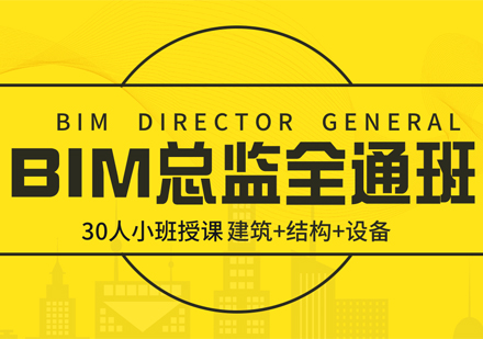 【一步到位】BIM总监全通班