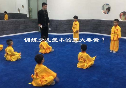 北京少儿武术训练课程体系解析