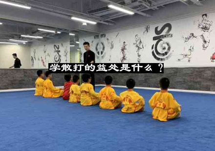 青少年散打培训课程全解析