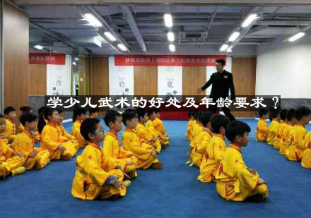 少儿武术训练全攻略：核心优势与科学学习指南