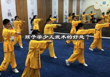 青少年武术训练核心价值解析