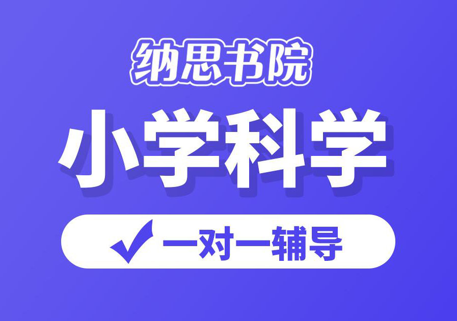 嘉兴纳思小学科学培训班