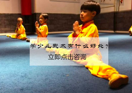 少儿武术训练五大核心价值解析