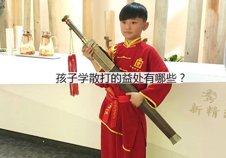 青少年散打培训的八大核心优势解析