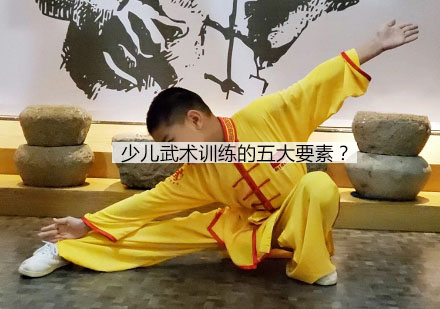 少儿武术训练体系构建的五大核心要素解析