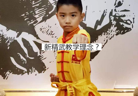 新精武教育体系深度解析
