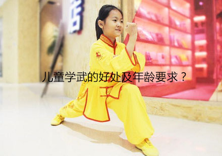 青少年武术训练课程特色解析与报名指南