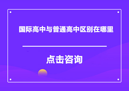 国际教育与普通教育体系对比解析