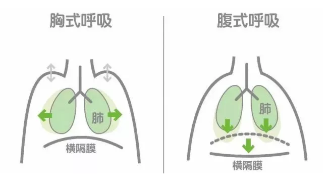 练瑜伽时，呼吸法对身体有哪些好处