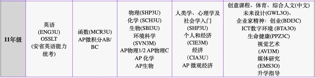 建桥国际高中开设哪些创意课程