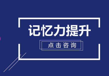 儿童记忆力发展关键期解析：4-14岁科学培养指南