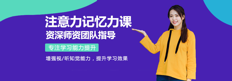 注意力记忆力课程体系