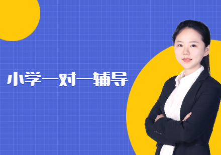 洛阳小学语数英一对一课程培训