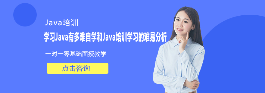 编程学习路径对比