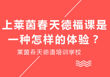 莱茵春天德福课程全方位解析