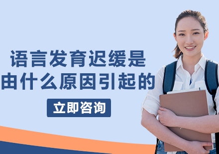 儿童语言发展受阻的八大核心诱因解析