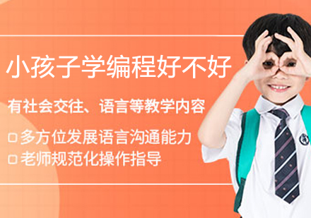 少儿编程教育价值深度剖析