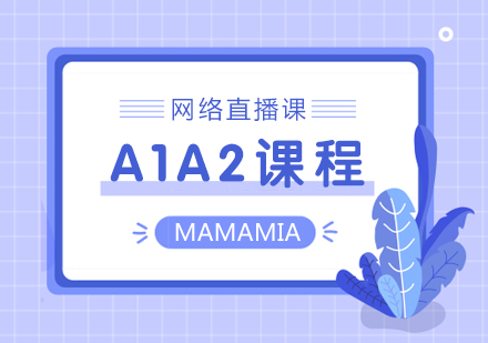 网络直播课A1A2课程