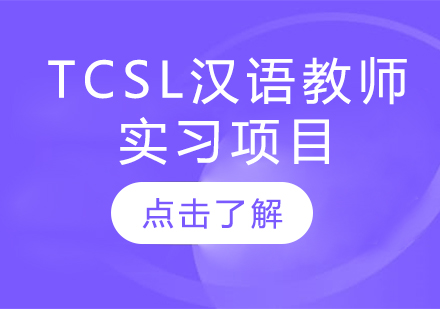 TCSL汉语教师实习项目