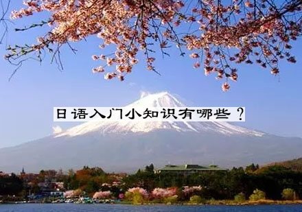 日语学习全维度解析：从基础到精通的系统路径