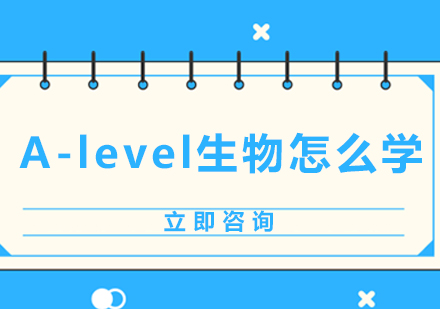 A-level生物深度解析与高效学习指南