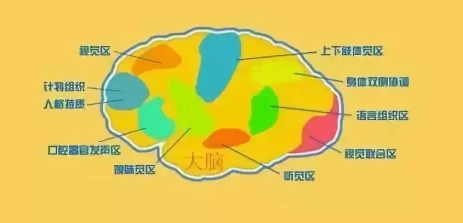 儿童感觉系统示意图