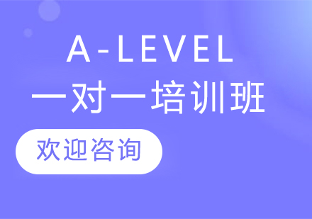 A-LEVEL一对一培训班