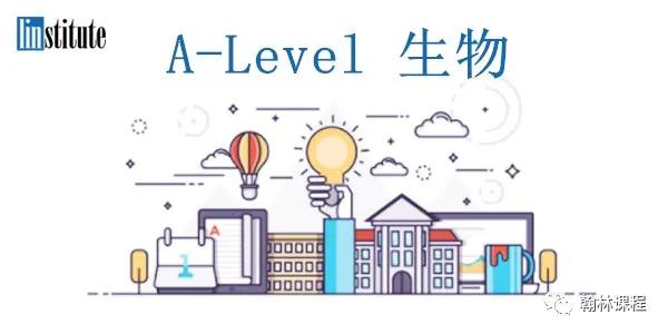 A-Level干货预警！三大考试局资料任你选！