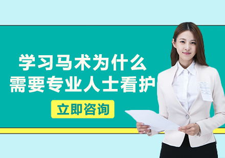 专业马术安全指导全解析