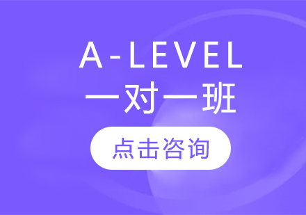 A-LEVEL一对一班