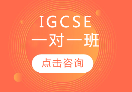 IGCSE一对一班