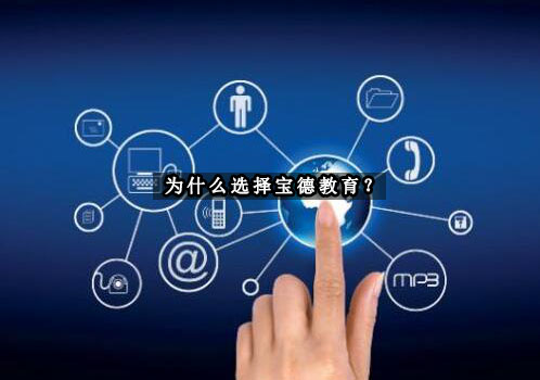 宝德教育服务体系深度解析