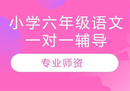 小学六年级语文辅导