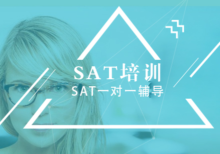 SAT语法题解题策略深度解析