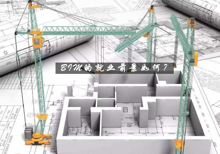 BIM技术应用解析与职业发展前景深度解读