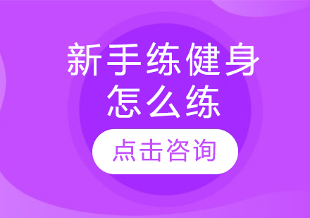 零基础健身入门指南：科学训练四要素解析