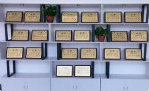 学校荣誉展示
