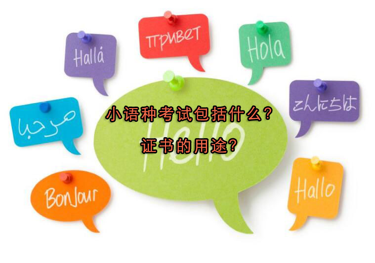 小语种考试全解析：认证体系与职业发展路径