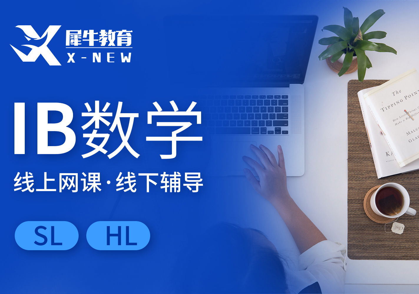 IB数学