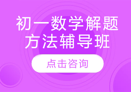 初一数学解题方法辅导班