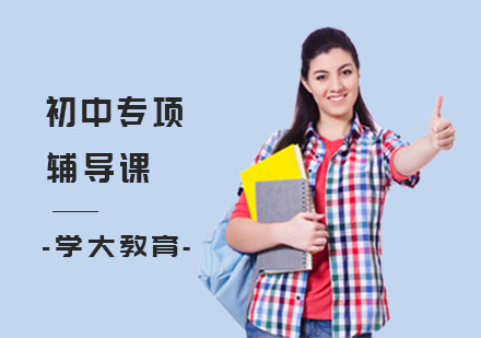 初中专项辅导课