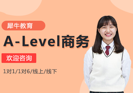 A-Level商务